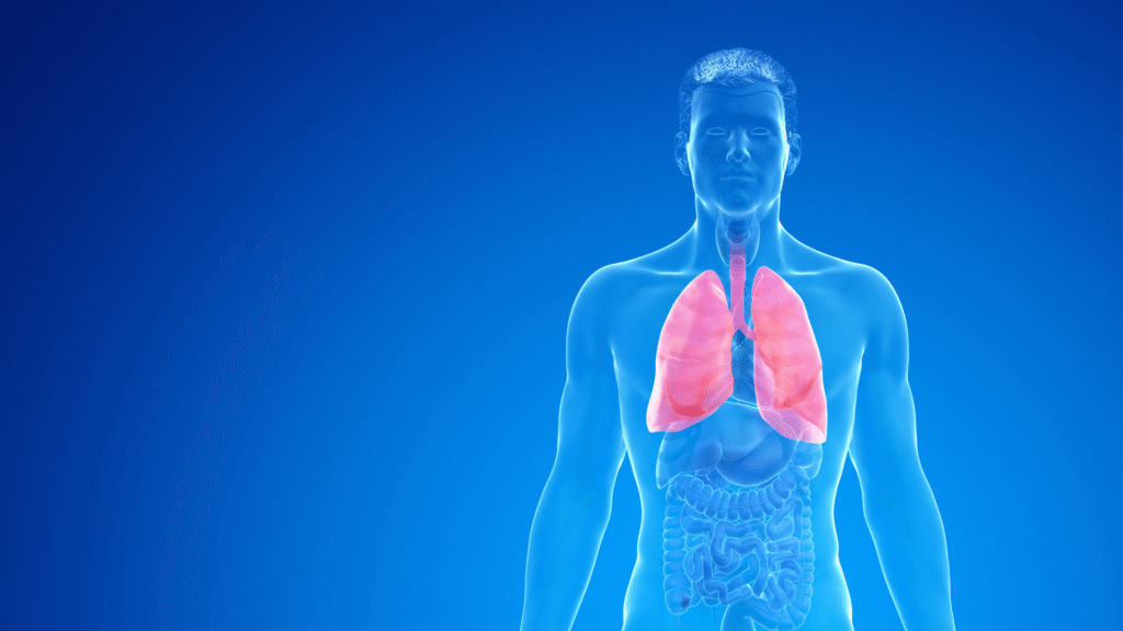 What is COPD: Symptoms, Treatment & Tips for Better Life Quality