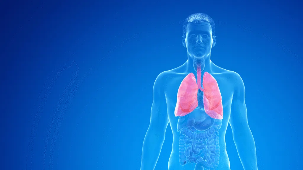 What is COPD: Symptoms, Treatment & Tips for Better Life Quality
