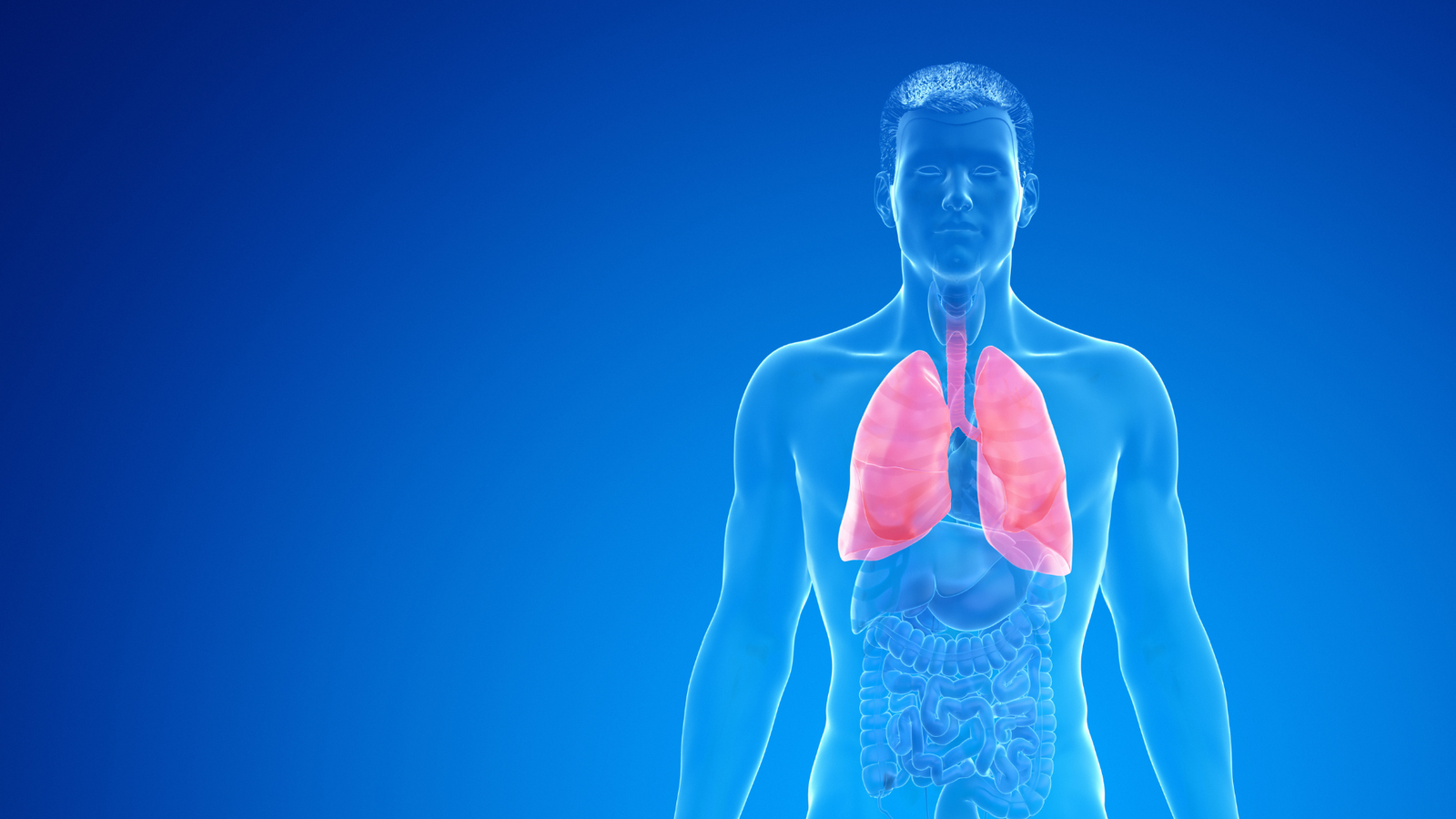 What is COPD: Symptoms, Treatment & Tips for Better Life Quality